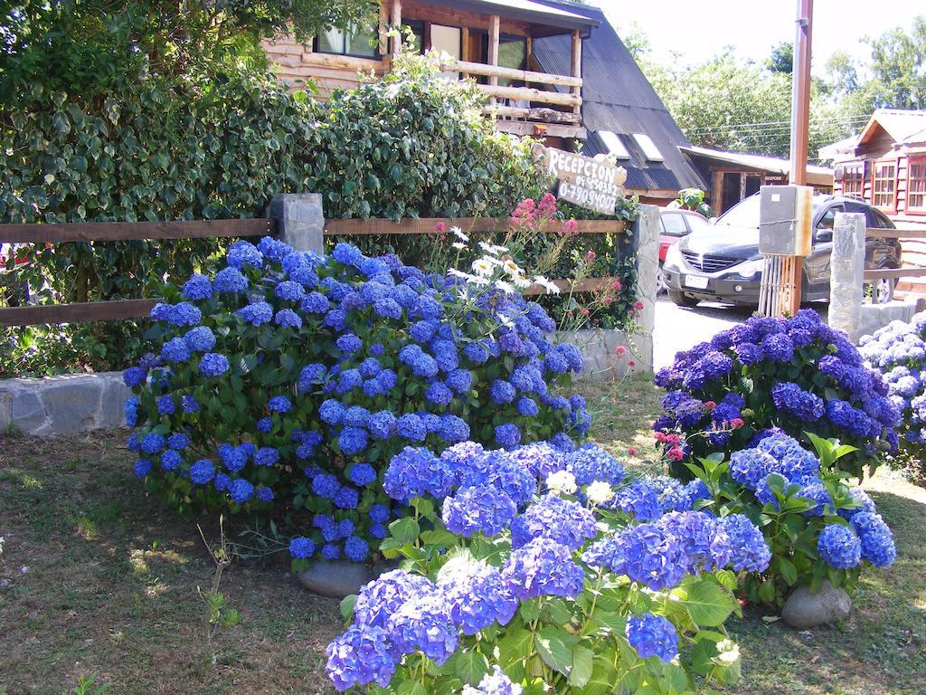 Cabanas Las Hortensias Hotel Niebla Bagian luar foto